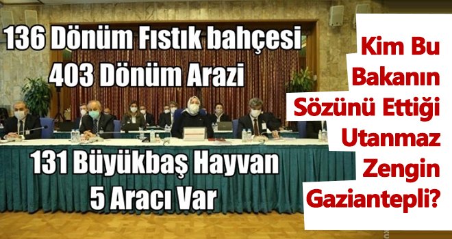 Bakan Selçuk açıkladı! Kim bu utanmaz zengin?