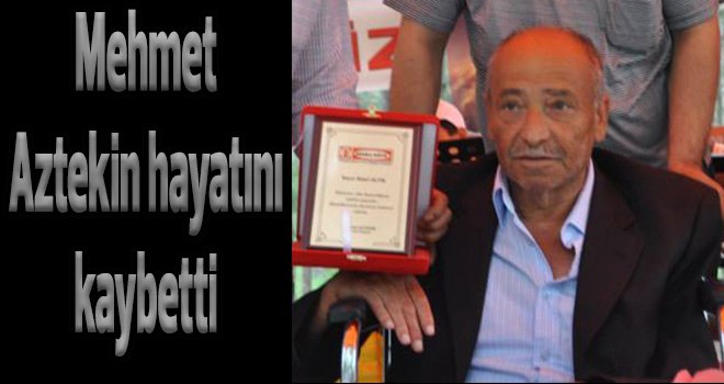 BAKLAVA SEKTÖRÜ YASTA