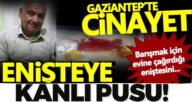 Barışmak için evine çağırdığı eniştesini pompalı tüfekle öldürdü