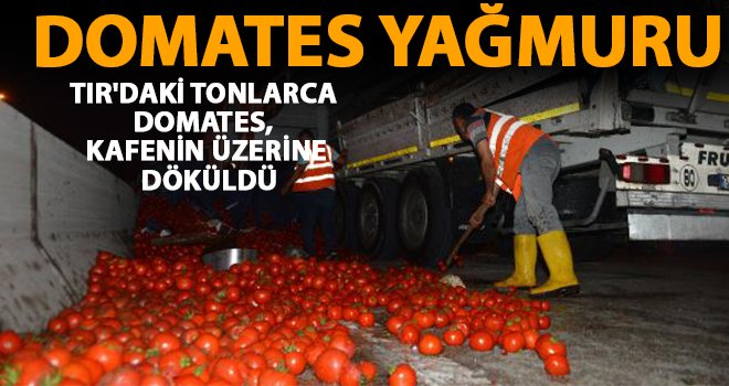 Bariyerlere çarpan TIR'daki domatesler kafenin üzerine döküldü