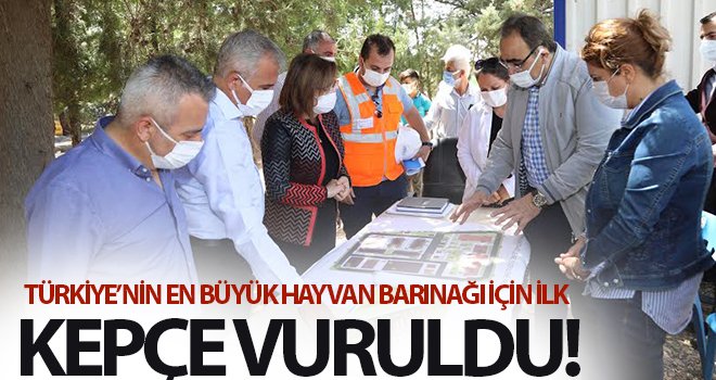 Başkan Şahin: Bu çalışma Türkiye ye örnek olacak 