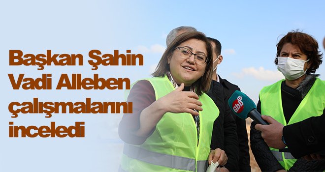 Başkan Şahin Vadi Alleben çalışmalarını inceledi