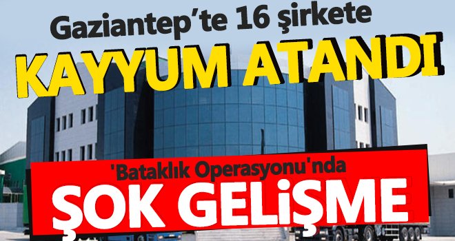 'Bataklık Operasyonu'nda 16 şirkete kayyum atandı