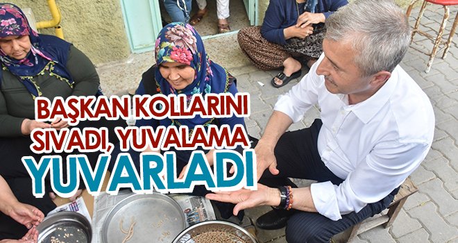 Belediye başkanından kadınlara yuvalama yardımı
