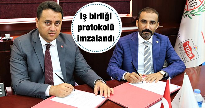 Belgelendirmede 'GTO-İMO' iş birliği...