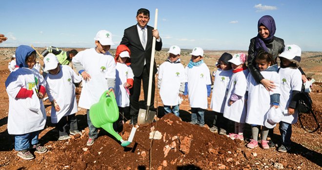 Bİ DÜNYA YEŞİL ŞEHİTKAMİL İLE BÜYÜYOR