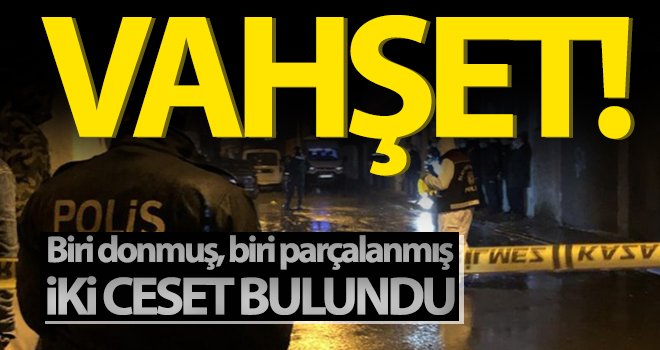 Biri donmuş, biri parçalanmış iki ceset bulundu