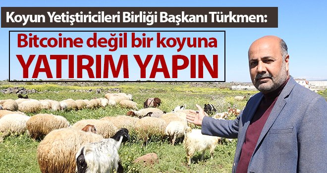 Bitcoine yatırım yapanlara bir koyun çağrısı