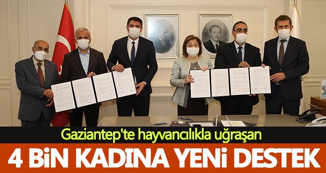 Bölge için uyumlu 50 bin adet tavuk dağıtılacak