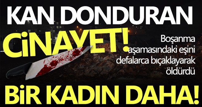 Boşanma aşamasındaki eşini defalarca bıçaklayarak öldürdü