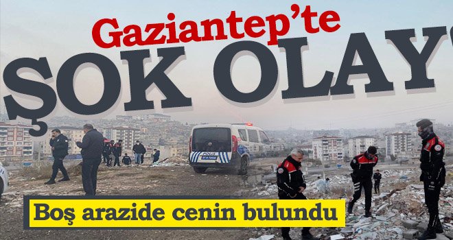 Bu habere yürek dayanmaz! Boş arazide bebek cesedi bulundu