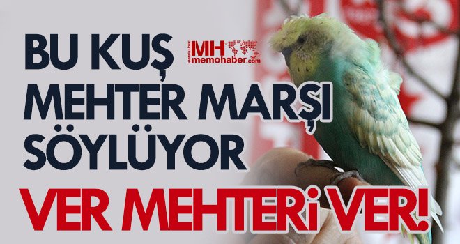 Bu kuş mehter marşı söylüyor