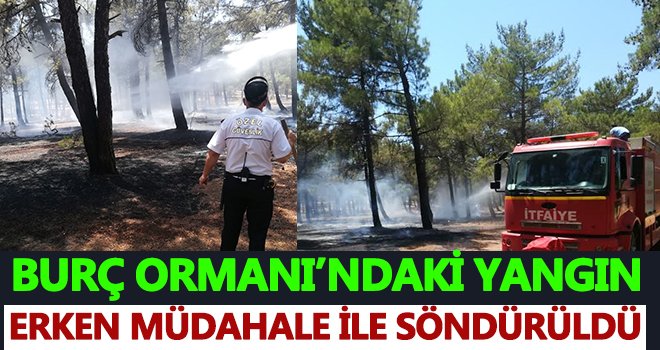 Burç ormanındaki yangın söndürüldü