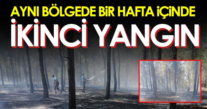 Burç ormanlarında çıkan yangın söndürüldü