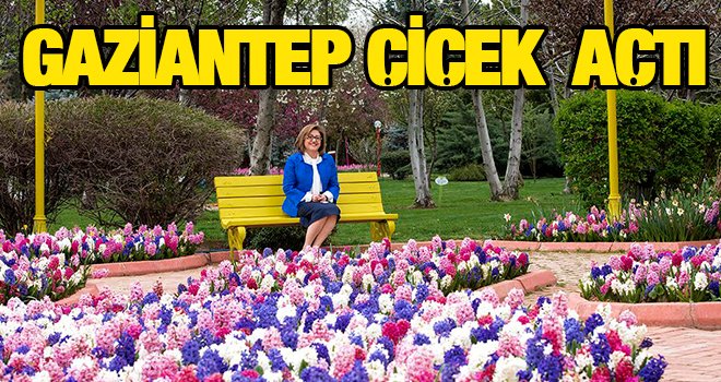 Büyükşehir, 4 milyon mevsimlik çiçek dikti