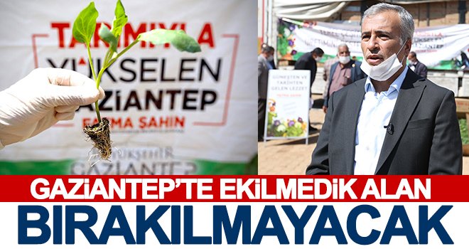 Büyükşehir, 5 milyon fide dağıtımını tamamladı