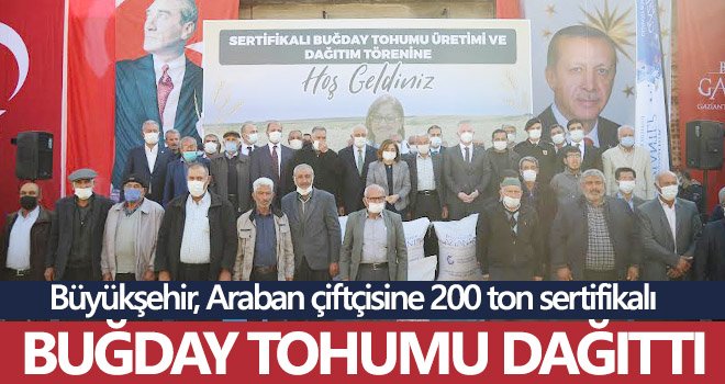 Büyükşehir, Araban çiftçisine 200 ton sertifikalı buğday tohumu dağıttı