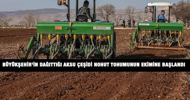 Büyükşehir'den “Baklagil Üretimini Geliştirme Projesi”