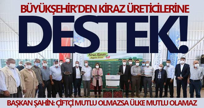 Büyükşehirden kiraz üreticilerine destek
