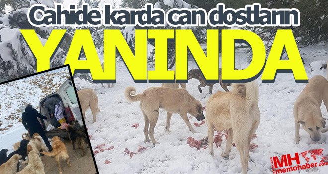 Cahide karda can dostların yanında