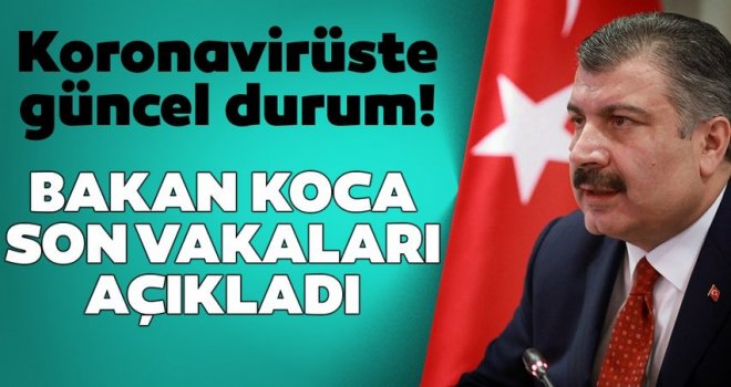 Can kaybı ve vaka sayısındaki son durum açıklandı!