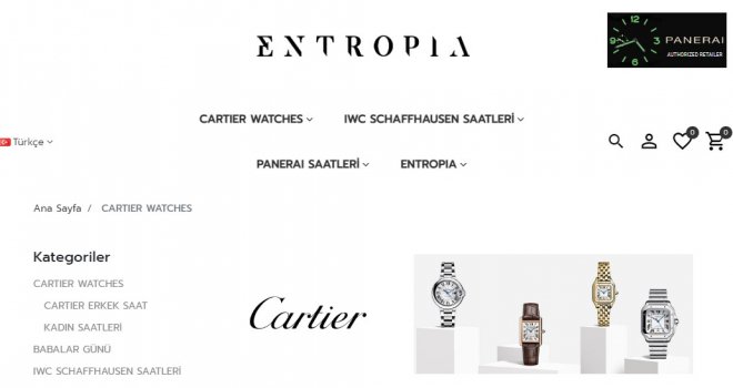 Cartier Kol Saati