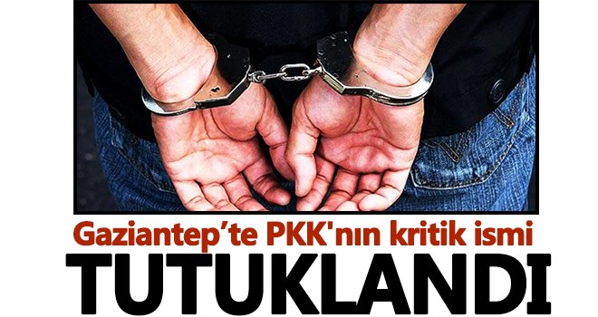 Çektar kod adlı terörist tutuklandı!