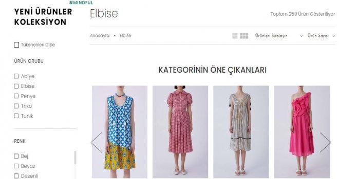 Çeşitli Elbise Modelleri