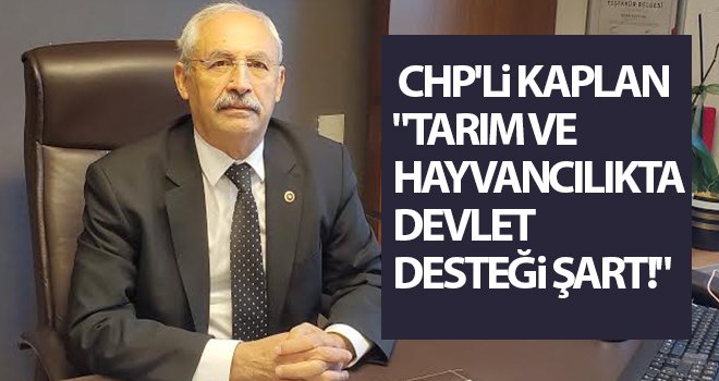 CHP'li Kaplan: Devlet üreticisini desteklemeli