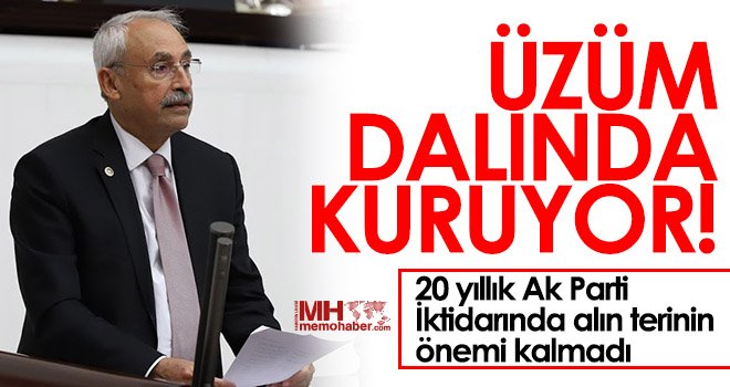 CHP'li Kaplan Üzüm Üreticilerinin Sesi Oldu