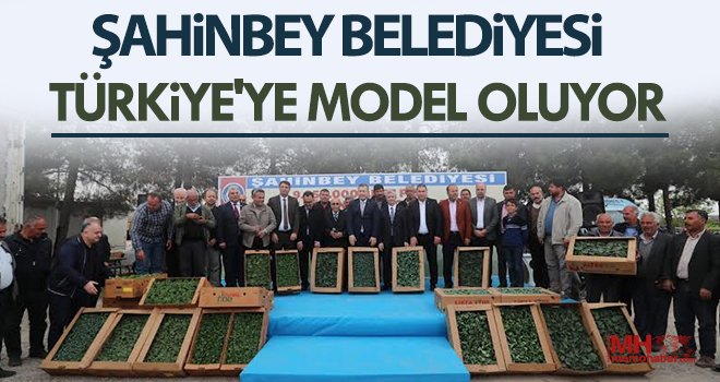 Çiftçilere milyonlarca fide dağıtıldı