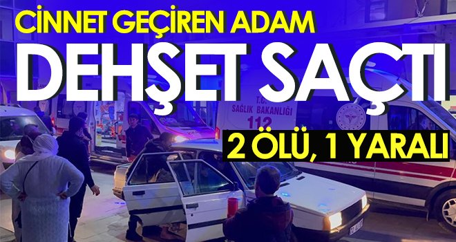 Cinnet geçiren adam dehşet saçtı: 2 ölü, 1 yaralı