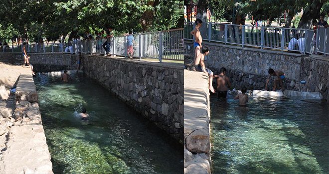 Çocuklar Derede Serinliyor