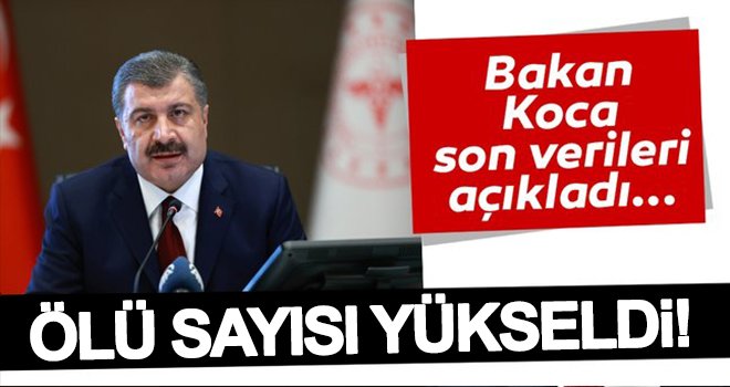Corona virüsü vaka ve ölü sayısında son durum belli oldu