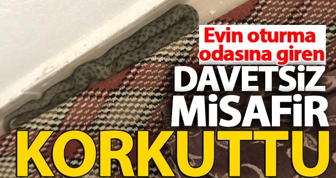 Davetsiz misafir uyuyan 3 yaşındaki çocuğun...