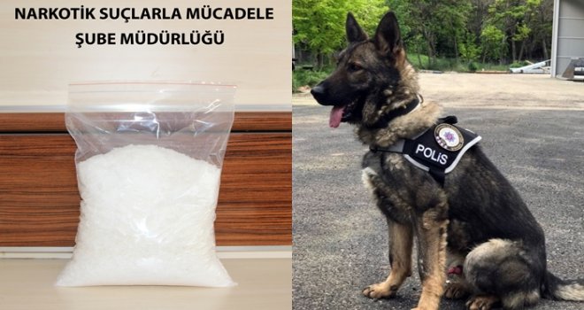Dedektör Köpeği Badi’den kaçamadılar