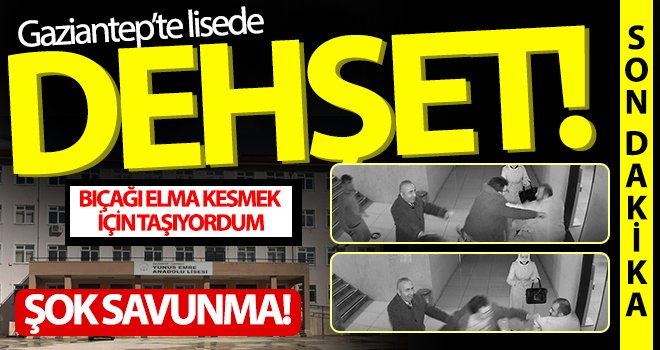 Dehşet saçan sanıktan ilginç savunma: Bıçağı elma kesmek için taşıyordum
