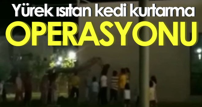 Direkte mahsur kalan kediyi çocuklar kurtardı