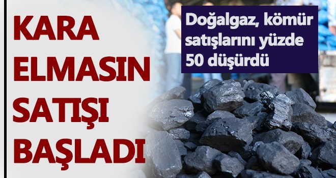 Doğalgaz, kömür üreticilerinin satışlarını yüzde 50 düşürdü