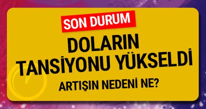 Dolar yeni kabine ile fırladı! Dolar ne kadar?