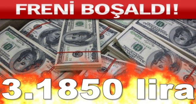 Doların yeni tarihi zirvesi: 3.1850 lira
