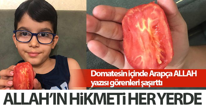 Domates'te 'Allah' yazısı...