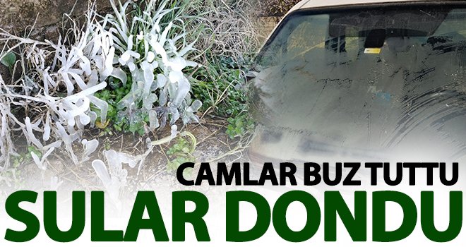 Don tarım arazilerini vurdu