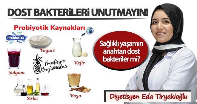 Dost Bakteriler...