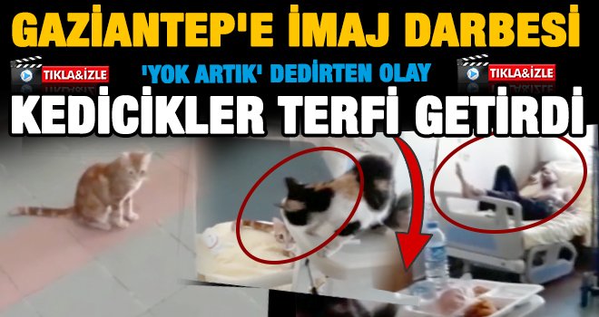 Dr. Ersin Arslan Hastanesi'nde soruşturma beklerken terfi getiren olay