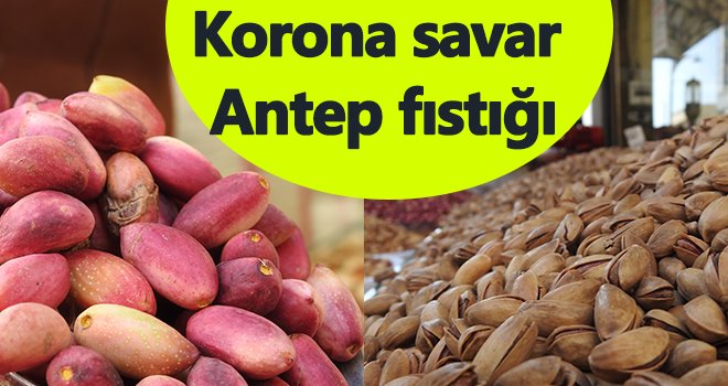 Dr. Yılmaz: Antep fıstığının korona virüse karşı koruyucu özelliği var