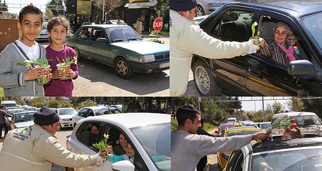 Dülük ziyaretçilerine lale armağanı