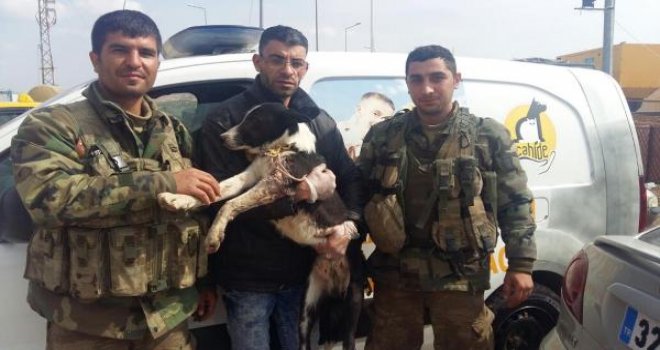 El Bab'da yaralanan 'Mucize' de Gaziantep'te