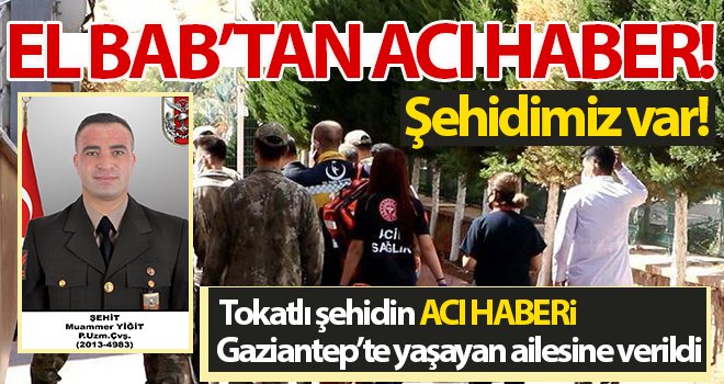 El Bab'tan ACI HABER! Şehidimiz var...