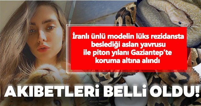 Ele geçirilen 'yasaklı' hayvanlar Gaziantep'e getirildi